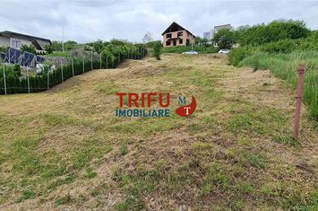 Teren Intravilan de vanzare CETATE - Alba anunturi imobiliare Alba