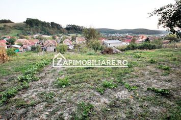 De vanzare 2 case cu 4.900 mp teren, Livezeni 0% comision anunturi imobiliare Mures