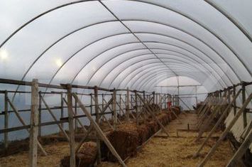 Teren de vanzare ALBA IULIA - Alba anunturi imobiliare Alba