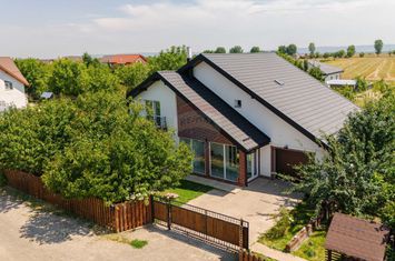 Casa / Vila 5 camere in Vorovesti anunturi imobiliare Iasi