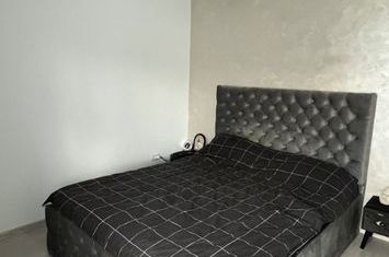 Casă - 4 camere de inchiriat VALEA ADANCA - Iasi anunturi imobiliare Iasi