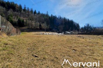 Teren Intravilan de vanzare SINAIA - Prahova anunturi imobiliare Prahova