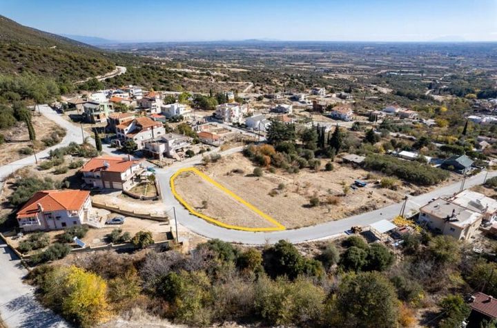 Teren construibil 626 mp în Zarkadia anunturi imobiliare Grecia