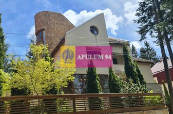 Vila de lux de vanzare in Predeal anunturi imobiliare Brasov