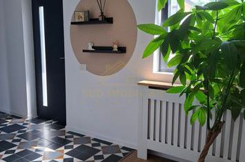 Casa individuala mobilata si utilata  Comuna Berceni- teren 425mp anunturi imobiliare Bucuresti