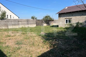 Casă - 3 camere de vanzare BREASTA - Dolj anunturi imobiliare Dolj