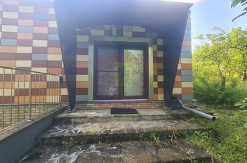 Vila de vanzare cu 6 camere in Cornu (teren 6.600 mp) anunturi imobiliare Prahova