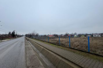 Teren de vanzare TIGANASI - Iasi anunturi imobiliare Iasi