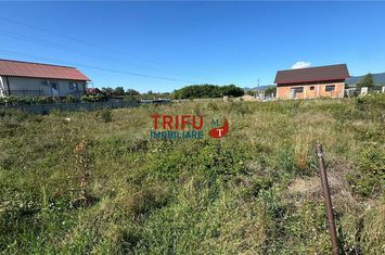 Teren Intravilan de vanzare PARTOS - Alba anunturi imobiliare Alba