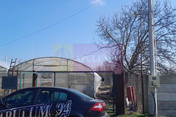 VANZARE TEREN 3100 MP - SAT ROSIORI (IL) anunturi imobiliare Ialomita