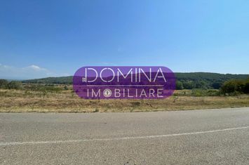 Teren de vanzare BALANESTI - Gorj anunturi imobiliare Gorj