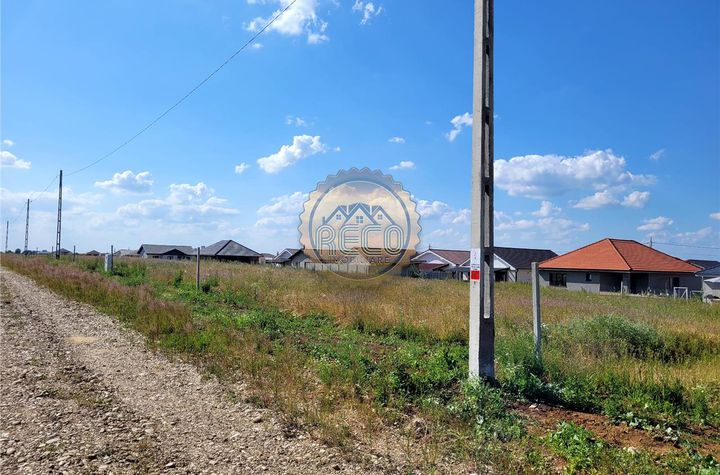 Teren Intravilan de vanzare EXTERIOR VEST - Bihor anunturi imobiliare Bihor