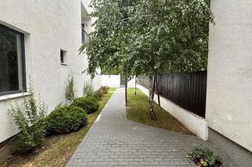 Casa cu piscina lângă Padurea Baneasa-Iancu Nicolae. anunturi imobiliare Bucuresti