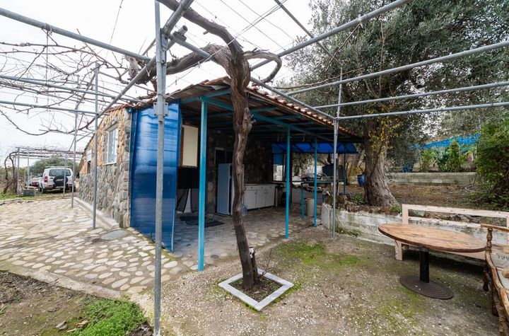 Teren agricol 3.710 mp în Astrida, Thassos anunturi imobiliare Grecia