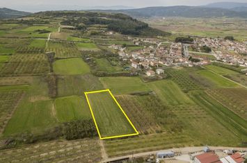 Teren construibil 5.000 mp în Mesolakia, Serres anunturi imobiliare Grecia