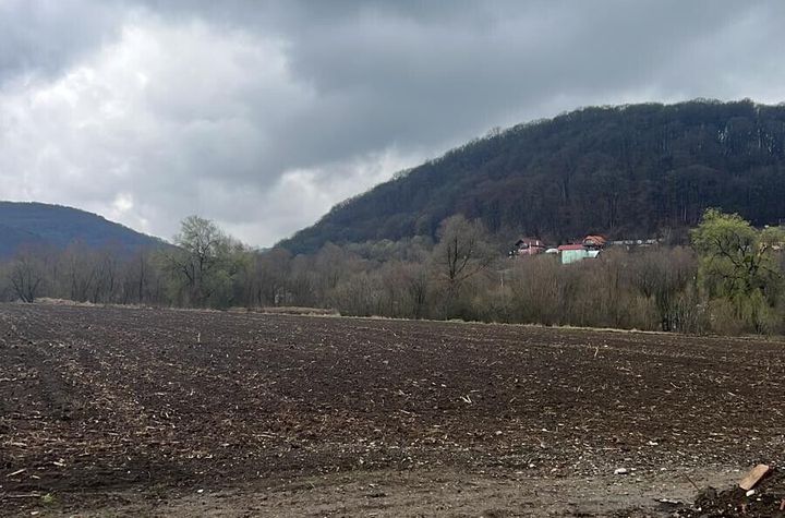 6700 MP TEREN ALBESTI- SIGHISOARA anunturi imobiliare Mures