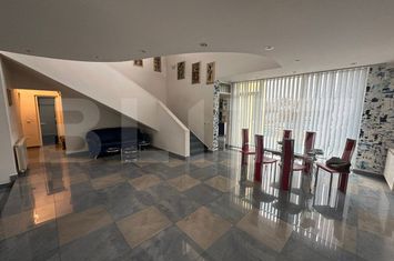 Vilă - 5 camere de vanzare LIPOVEI - Timis anunturi imobiliare Timis