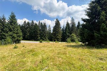 Teren Intravilan de vanzare PREDEAL - Brasov anunturi imobiliare Brasov