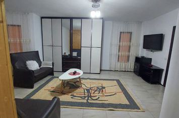 Vilă - 4 camere de inchiriat IASI - Iasi anunturi imobiliare Iasi