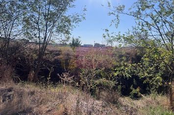 Teren Cornetu Strada Magnoliei- Pinului. anunturi imobiliare Bucuresti
