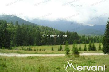 Teren Intravilan de vanzare PREDEAL - Brasov anunturi imobiliare Brasov