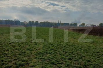 Teren de vanzare TURDA - Cluj anunturi imobiliare Cluj