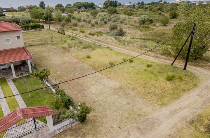 Parcelă agricolă 350 mp în Paralia Karianis anunturi imobiliare Grecia