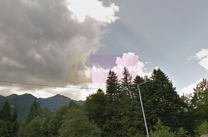 Teren extravilan in Sinaia (25 euro/mp) anunturi imobiliare Prahova