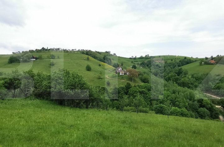 Teren de vanzare ZARNESTI - Brasov anunturi imobiliare Brasov