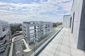 The Ivy | 3 camere | Jandarmeriei | lângă Stejarii si Mall Băneasa anunturi imobiliare Bucuresti