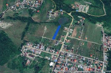 VANZARE TEREN INTRAVILAN 2800 MP. - CAMPINA/VOILA anunturi imobiliare Prahova