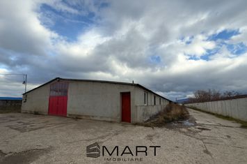 Spațiu industrial de inchiriat PREJMER - Brasov anunturi imobiliare Brasov