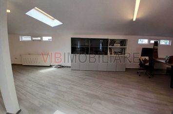Loft spatios la Cismigiu anunturi imobiliare Bucuresti