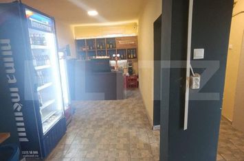 Spațiu comercial de vanzare BUZIASULUI - Timis anunturi imobiliare Timis