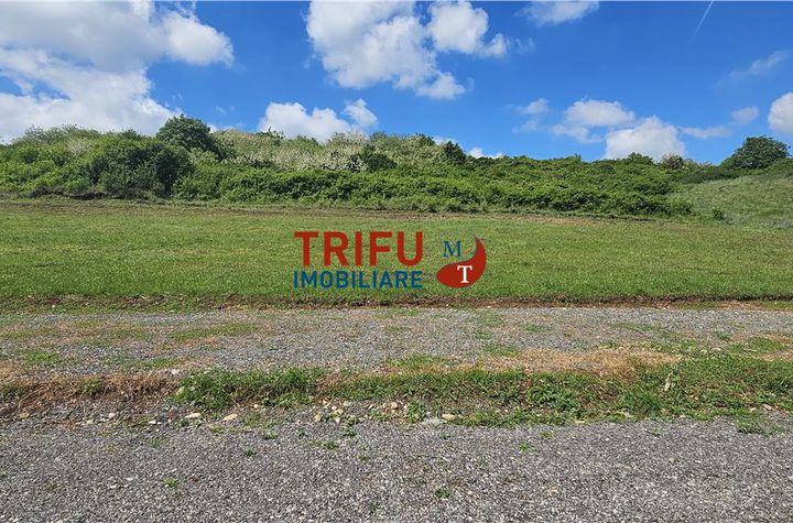 Teren Intravilan de vanzare CETATE - Alba anunturi imobiliare Alba