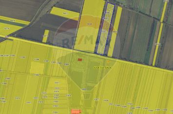 DE VÂNZARE TEREN EXTRAVILAN 19100 mp. Loc IP / SĂLAJ anunturi imobiliare Salaj