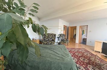 Vanzare - Vila - 7 camere - Curte 511 mp - Parcul Mogosoaia anunturi imobiliare Bucuresti