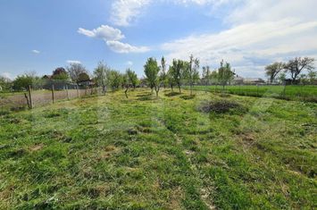 Teren de vanzare CIONCHESTI - Satu Mare anunturi imobiliare Satu Mare