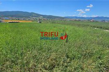 Teren Intravilan de vanzare CENTRAL - Alba anunturi imobiliare Alba