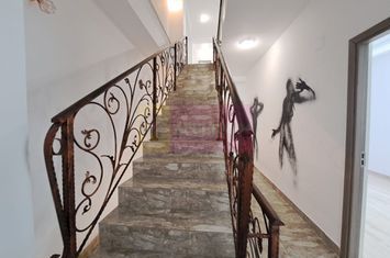 Vilă P+3, 12 camere, 300 mp – birouri/clinică/locuință, Timpuri Noi anunturi imobiliare Bucuresti