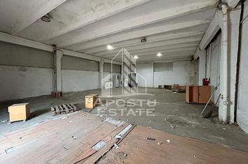 Hala 225 mp, ideala depozitare sau productie, Calea Sagului anunturi imobiliare Timis