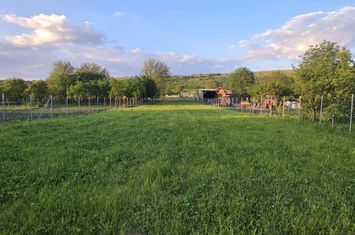 Teren de vanzare RUSI - Sibiu anunturi imobiliare Sibiu