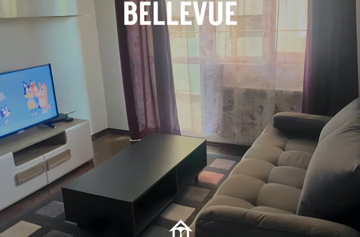 Apartament 2 camere de inchiriat IASI - Iasi anunturi imobiliare Iasi