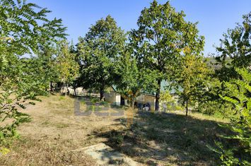 Casă - 4 camere de vanzare HARPASESTI - Iasi anunturi imobiliare Iasi