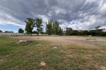 Teren construibil 2373 mp în Lefkonas Serres anunturi imobiliare Grecia