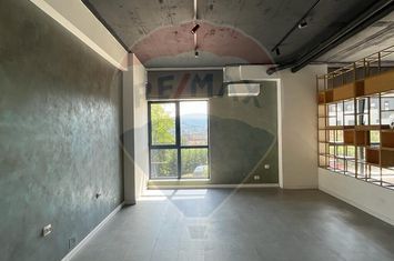 Spațiu comercial Vanzare cu Chiriasi | Taietura Turcului anunturi imobiliare Cluj