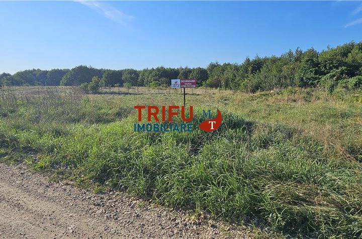 Teren Intravilan de vanzare CENTRAL - Alba anunturi imobiliare Alba