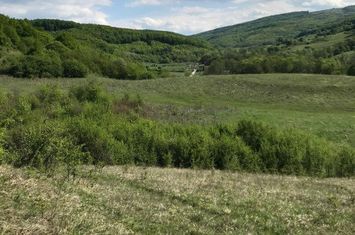 Teren de vanzare CLUJ-NAPOCA - Cluj anunturi imobiliare Cluj