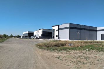 Spațiu industrial de inchiriat MOGOSOAIA - Bucuresti anunturi imobiliare Bucuresti