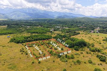 Teren de vanzare AVRIG - Sibiu anunturi imobiliare Sibiu